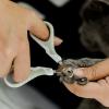 imageMr Pen Cat Nail Trimmer  Blue ampamp White Cat ampamp Kitten Nail Clipper Pet Claw Trimmer for Small DogsBeige