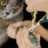 imageMr Pen Cat Nail Trimmer  Blue ampamp White Cat ampamp Kitten Nail Clipper Pet Claw Trimmer for Small DogsYellowDark Teal