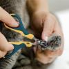 imageMr Pen Cat Nail Trimmer  Blue ampamp White Cat ampamp Kitten Nail Clipper Pet Claw Trimmer for Small DogsYellowDark Teal