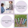 imageMr Pen Colored Popsicle Sticks Wooden Rainbow Colored Popsicle Sticks for Crafts 200 Pack 45 InchPastel