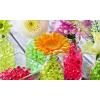 imageMr Pen Water Beads 20000 pcs Black Water Beads for Vases Water Gel Beads Floating Beads for Centerpieces Vases Gel Beads for Vases Gel Beads Waterbeads Gel Water Beads for PlantsVibrant