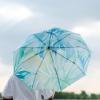 imageMr Pen Windproof Travel Umbrella Automatic Umbrellas for Rain CompactBlue Monstera