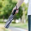 imageMr Pen Windproof Travel Umbrella Automatic Umbrellas for Rain CompactZebra Stripes