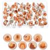 imageMr Pen Thumb Tacks 500 Pack Gold Flat Push Pins Thumbtack Flat Thumb Tacks Metal Push Pins Thumbtacks Push Pin Thumb Tack Thumbtacks Flat Flat Push Pins for Bulletin BoardBoho Decorative