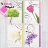 imageMr Pen Sympathy Cards Assortment 15 Count 7 x 10 Inches Includes EnvelopesMulticolor