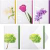 imageMr Pen Sympathy Cards Assortment 15 Count 7 x 10 Inches Includes EnvelopesMulticolor