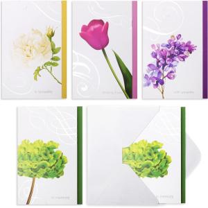 imageMr Pen Sympathy Cards Assortment 15 Count 7 x 10 Inches Includes EnvelopesMulticolor