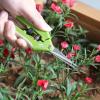 imageMr Pen Gardening Scissors 65 Inch Green Pruning Shears for Gardening with Straight Stainless Steel Blade Plant Trimming Scissors Garden shears Garden Scissors Gardening Shears Hand PrunersLight Green