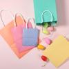 imageMr Pen Gift Bags Assorted Sizes 8 pcs SmallMediumLarge Paper Gift Bags with Handles Easter Bags for Gifts