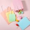 imageMr Pen Gift Bags Assorted Sizes 8 pcs SmallMediumLarge Pastel Paper Gift Bag with Handles Easter Bags for Gifts