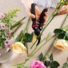 imageMr Pen Pruning Shears Garden Shears 8quot Professional Titanium Blade Garden Scissors Gardening Shears Garden Clippers Bypass Pruners Garden Shears Pruning Pruning Scissors Garden Tools