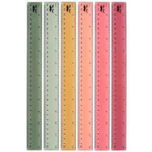 imageMr Pen Plastic Rulers 12 Inch 6 Pack Morandi Colors Metric ampamp Imperial Clear Ruler SetVintage
