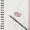 imageMr Pen Erasers 12 Pack Marble Pencil Eraser Erasers for Pencils Easter Egg FillersMorandi