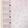 imageMr Pen Bible Tabs 75 Tabs Soft Blush Bronze Foil Embossed Lettering Laminated Bible Tabs for Women and Men Bible Tabs for Study Bible Index Tabs Bible Book Tabs Bible Labels Tabs