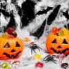 imageMr Pen Halloween Plastic Spiders  Black 30 pcs Small Fake Spiders for Decorations
