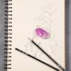 imageMr Pen Marble Pencil Erasers 12 Pack 1quot x 2quot Purple Twilight Colors No Smudge Mr Pen Erasers for Pencils