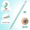 imageMr Pen Jumbo Pencils 30 Pencil Preschool Pencils Large Pencil Colorful Barrels and Black 2 HB Graphite Cores Smooth Lead LatexFree Eraser Top with Metal FerruleBlue and Teal Barrels