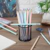 imageMr Pen Jumbo Pencils 30 Pencil Preschool Pencils Large Pencil Colorful Barrels and Black 2 HB Graphite Cores Smooth Lead LatexFree Eraser Top with Metal FerruleSoft Pastel Barrels