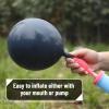 imageMr Pen Balloons 12 Inch 54 Pack Red ampamp Confetti Balloons for Birthday PartyNavy Blue
