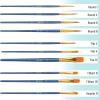 imageMr Pen Artist Paint Brushes for Acrylic Painting 10 pcs Berry Bloom Ergonomic Wooden Handle Synthetic Bristles in Different Sizes ampamp Shapes Watercolor BrushesMidnight Current