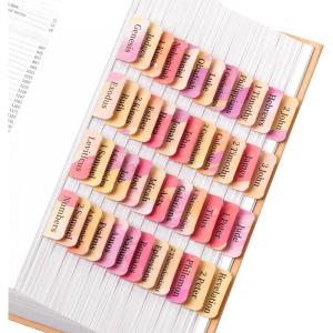 image:imageMr Pen Bible Tabs 75 pcs Abstract Gold Foil Lettering Laminated Bible Tabs for Women and MenSpring Pink