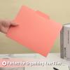 image:imageMr Pen File Folders 100 Pack 13Cut Tab Manila Letter Size Office Supplies File Folders BulkVibrant Earthy Spectrum