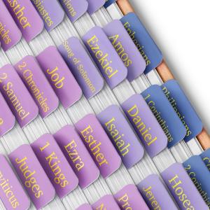 image:imageMr Pen Laminated Bible Tabs 75 pcs Elegant Green EasytoRead amp Apply Tear Resistant Index Tabs for Women and Men Bible Study Journaling Prayer amp Scripture NavigationRoseate Dusk