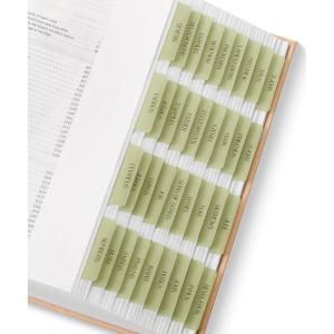 image:imageMr Pen Laminated Bible Tabs 75 pcs Translucent Olive Green EasytoRead amp Apply Tear Resistant Index Tabs for Women and Men Bible Study Journaling Prayer amp Scripture NavigationTransparent Olive Green