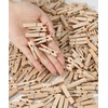 image:imageMr Pen Mini Wooden Clothes Pins for Photo 1 Inch 150 Pack  Small Clothespins with 10 Meter Jute Twine for Labeling Plants Gift Tags Tiny Crafts Photo Display DecorationWood