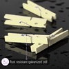 image:imageMr Pen Mini Wooden Clothes Pins for Photo 1 Inch 150 Pack  Small Clothespins with 10 Meter Jute Twine for Labeling Plants Gift Tags Tiny Crafts Photo Display DecorationBeige