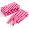 image:imageMr Pen Mini Wooden Clothes Pins for Photo 1 Inch 150 Pack  Small Clothespins with 10 Meter Jute Twine for Labeling Plants Gift Tags Tiny Crafts Photo Display DecorationPink