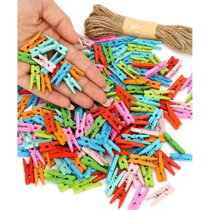 image:imageMr Pen Mini Wooden Clothes Pins for Photo 1 Inch 150 Pack  Small Clothespins with 10 Meter Jute Twine for Labeling Plants Gift Tags Tiny Crafts Photo Display DecorationAssorted Colors