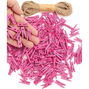 image:imageMr Pen Mini Wooden Clothes Pins for Photo 1 Inch 150 Pack  Small Clothespins with 10 Meter Jute Twine for Labeling Plants Gift Tags Tiny Crafts Photo Display DecorationPink