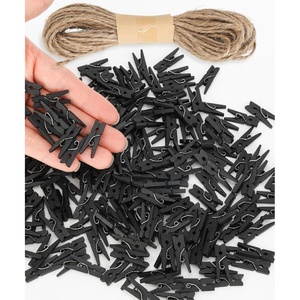 image:imageMr Pen Mini Wooden Clothes Pins for Photo 1 Inch 150 Pack  Small Clothespins with 10 Meter Jute Twine for Labeling Plants Gift Tags Tiny Crafts Photo Display DecorationBlack