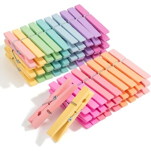 image:imageMr Pen Mini Wooden Clothes Pins for Photo 1 Inch 150 Pack  Small Clothespins with 10 Meter Jute Twine for Labeling Plants Gift Tags Tiny Crafts Photo Display DecorationPastel Colors