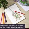 image:imageMr Pen Bulk Colored Pencils for Kids 12 ColorsSet 36 Sets Soft Core  PreSharpened Color Pencils Bulk for Adult Coloring Book Drawing Sketching Classroom Prizes Kids Party Favors1 Count Pack of 1